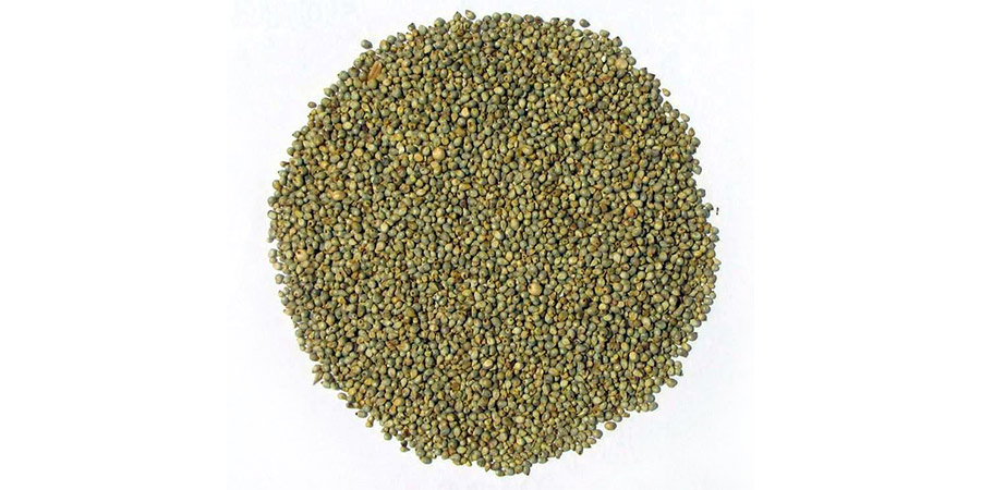 Green Millet